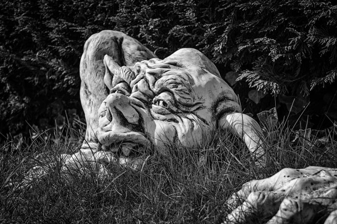 Image by Peter H from Pixabay