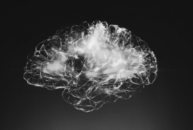 a black and white photo of a brain